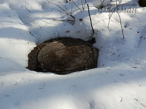 IMG_20260314_114335_163